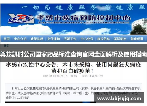 尊龙凯时公司国家药品标准查询官网全面解析及使用指南