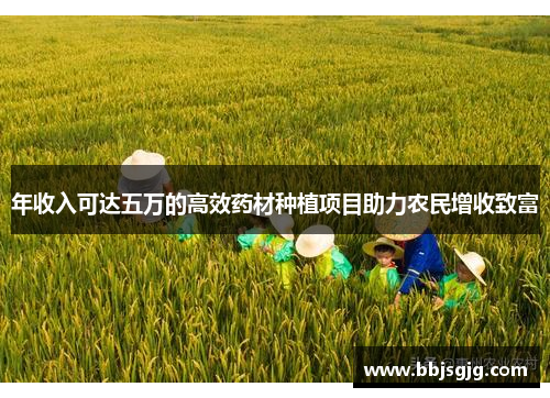 年收入可达五万的高效药材种植项目助力农民增收致富