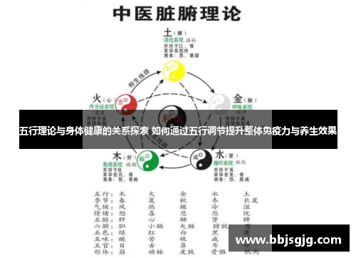 五行理论与身体健康的关系探索 如何通过五行调节提升整体免疫力与养生效果