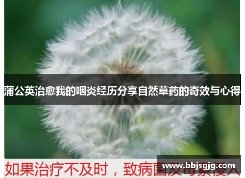 蒲公英治愈我的咽炎经历分享自然草药的奇效与心得